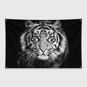 Флаг-баннер с принтом Красавец тигр в Новосибирске, 100% полиэстер | размер 67 х 109 см, плотность ткани — 95 г/м2; по краям флага есть четыре люверса для крепления | джунгли | дикая кошка | животные | зверь | король | кровь | мясо | опасность | охотник | тигр | хищник | царь | цирк