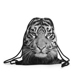 Рюкзак-мешок 3D с принтом Красавец тигр в Новосибирске, 100% полиэстер | плотность ткани — 200 г/м2, размер — 35 х 45 см; лямки — толстые шнурки, застежка на шнуровке, без карманов и подкладки | джунгли | дикая кошка | животные | зверь | король | кровь | мясо | опасность | охотник | тигр | хищник | царь | цирк