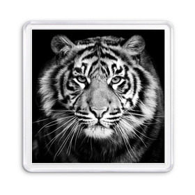 Магнит 55*55 с принтом Красавец тигр в Новосибирске, Пластик | Размер: 65*65 мм; Размер печати: 55*55 мм | Тематика изображения на принте: джунгли | дикая кошка | животные | зверь | король | кровь | мясо | опасность | охотник | тигр | хищник | царь | цирк