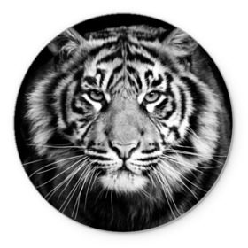 Коврик круглый с принтом Красавец тигр в Новосибирске, резина и полиэстер | круглая форма, изображение наносится на всю лицевую часть | Тематика изображения на принте: джунгли | дикая кошка | животные | зверь | король | кровь | мясо | опасность | охотник | тигр | хищник | царь | цирк