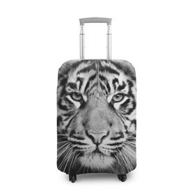 Чехол для чемодана 3D с принтом Красавец тигр в Новосибирске, 86% полиэфир, 14% спандекс | двустороннее нанесение принта, прорези для ручек и колес | джунгли | дикая кошка | животные | зверь | король | кровь | мясо | опасность | охотник | тигр | хищник | царь | цирк