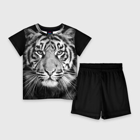 Детский костюм с шортами 3D с принтом Красавец тигр в Новосибирске,  |  | джунгли | дикая кошка | животные | зверь | король | кровь | мясо | опасность | охотник | тигр | хищник | царь | цирк