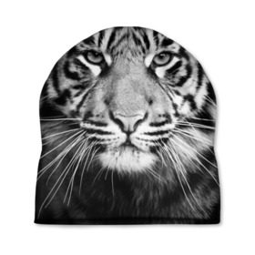 Шапка 3D с принтом Красавец тигр в Новосибирске, 100% полиэстер | универсальный размер, печать по всей поверхности изделия | джунгли | дикая кошка | животные | зверь | король | кровь | мясо | опасность | охотник | тигр | хищник | царь | цирк