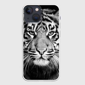 Чехол для iPhone 13 mini с принтом Красавец тигр в Новосибирске,  |  | джунгли | дикая кошка | животные | зверь | король | кровь | мясо | опасность | охотник | тигр | хищник | царь | цирк