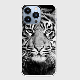 Чехол для iPhone 13 Pro с принтом Красавец тигр в Новосибирске,  |  | джунгли | дикая кошка | животные | зверь | король | кровь | мясо | опасность | охотник | тигр | хищник | царь | цирк