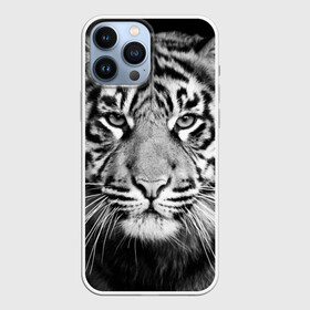 Чехол для iPhone 13 Pro Max с принтом Красавец тигр в Новосибирске,  |  | джунгли | дикая кошка | животные | зверь | король | кровь | мясо | опасность | охотник | тигр | хищник | царь | цирк
