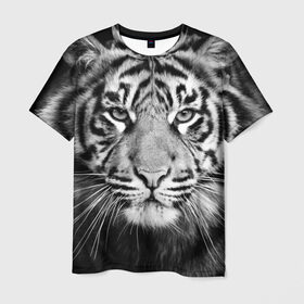 Мужская футболка 3D с принтом Красавец тигр в Новосибирске, 100% полиэфир | прямой крой, круглый вырез горловины, длина до линии бедер | Тематика изображения на принте: джунгли | дикая кошка | животные | зверь | король | кровь | мясо | опасность | охотник | тигр | хищник | царь | цирк