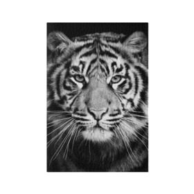 Обложка для паспорта матовая кожа с принтом Красавец тигр в Новосибирске, натуральная матовая кожа | размер 19,3 х 13,7 см; прозрачные пластиковые крепления | джунгли | дикая кошка | животные | зверь | король | кровь | мясо | опасность | охотник | тигр | хищник | царь | цирк