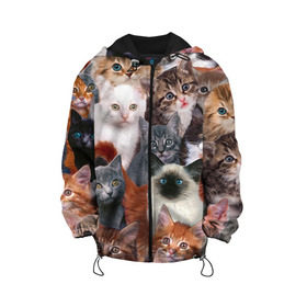 Детская куртка 3D с принтом Котики в Новосибирске, 100% полиэстер | застежка — молния, подол и капюшон оформлены резинкой с фиксаторами, по бокам — два кармана без застежек, один потайной карман на груди, плотность верхнего слоя — 90 г/м2; плотность флисового подклада — 260 г/м2 | cat | cats | кот | котик | коты | котята