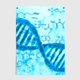 Постер с принтом ДНК в Новосибирске, 100% бумага
 | бумага, плотность 150 мг. Матовая, но за счет высокого коэффициента гладкости имеет небольшой блеск и дает на свету блики, но в отличии от глянцевой бумаги не покрыта лаком | абстракция | биология | днк | молекула | синяя.цепочка | формула