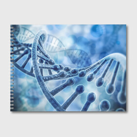 Альбом для рисования с принтом Молекула ДНК в Новосибирске, 100% бумага
 | матовая бумага, плотность 200 мг. | Тематика изображения на принте: dna | биохимия | внешность | ген | генетика | днк | молекула | наследственность | спираль | способности | структура | характер | черты