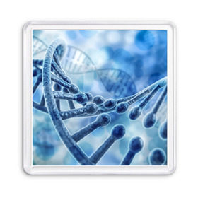 Магнит 55*55 с принтом Молекула ДНК в Новосибирске, Пластик | Размер: 65*65 мм; Размер печати: 55*55 мм | dna | биохимия | внешность | ген | генетика | днк | молекула | наследственность | спираль | способности | структура | характер | черты