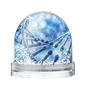 Снежный шар с принтом Молекула ДНК в Новосибирске, Пластик | Изображение внутри шара печатается на глянцевой фотобумаге с двух сторон | dna | биохимия | внешность | ген | генетика | днк | молекула | наследственность | спираль | способности | структура | характер | черты