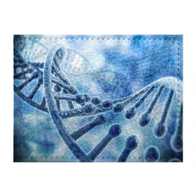 Обложка для студенческого билета с принтом Молекула ДНК в Новосибирске, натуральная кожа | Размер: 11*8 см; Печать на всей внешней стороне | dna | биохимия | внешность | ген | генетика | днк | молекула | наследственность | спираль | способности | структура | характер | черты