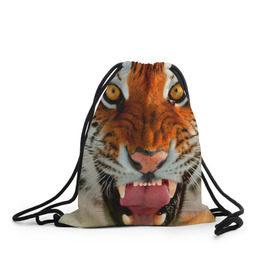 Рюкзак-мешок 3D с принтом Амурский тигр в Новосибирске, 100% полиэстер | плотность ткани — 200 г/м2, размер — 35 х 45 см; лямки — толстые шнурки, застежка на шнуровке, без карманов и подкладки | амур | голова | животные | кошка | оскал | тигр