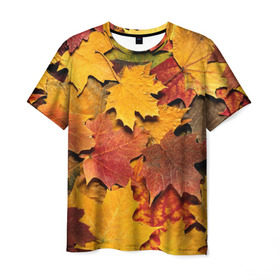 Мужская футболка 3D с принтом Осень на дворе в Новосибирске, 100% полиэфир | прямой крой, круглый вырез горловины, длина до линии бедер | бордовый | жёлтый | красный | листва | листья