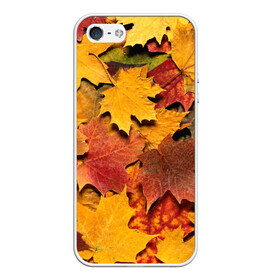 Чехол для iPhone 5/5S матовый с принтом Осень на дворе в Новосибирске, Силикон | Область печати: задняя сторона чехла, без боковых панелей | бордовый | жёлтый | красный | листва | листья