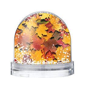 Снежный шар с принтом Осень на дворе в Новосибирске, Пластик | Изображение внутри шара печатается на глянцевой фотобумаге с двух сторон | бордовый | жёлтый | красный | листва | листья