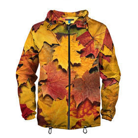 Мужская ветровка 3D с принтом Осень на дворе в Новосибирске, 100% полиэстер | подол и капюшон оформлены резинкой с фиксаторами, два кармана без застежек по бокам, один потайной карман на груди | бордовый | жёлтый | красный | листва | листья