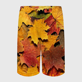 Детские спортивные шорты 3D с принтом Осень на дворе в Новосибирске,  100% полиэстер
 | пояс оформлен широкой мягкой резинкой, ткань тянется
 | Тематика изображения на принте: бордовый | жёлтый | красный | листва | листья