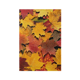 Обложка для паспорта матовая кожа с принтом Осень на дворе в Новосибирске, натуральная матовая кожа | размер 19,3 х 13,7 см; прозрачные пластиковые крепления | бордовый | жёлтый | красный | листва | листья