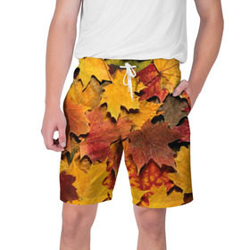 Мужские шорты 3D с принтом Осень на дворе в Новосибирске,  полиэстер 100% | прямой крой, два кармана без застежек по бокам. Мягкая трикотажная резинка на поясе, внутри которой широкие завязки. Длина чуть выше колен | бордовый | жёлтый | красный | листва | листья