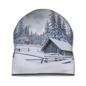 Шапка 3D с принтом Зима в Новосибирске, 100% полиэстер | универсальный размер, печать по всей поверхности изделия | вьюга | горы | зима | лес | метель | мороз | пейзаж | природа | пурга | снег | снегопад | сосулька | стужа | сугроб | холод