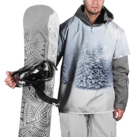 Накидка на куртку 3D с принтом Зимняя пора в Новосибирске, 100% полиэстер |  | Тематика изображения на принте: вьюга | горы | зима | лес | метель | мороз | пейзаж | пурга | снег | снегопад | сосулька | стужа | сугроб | холод