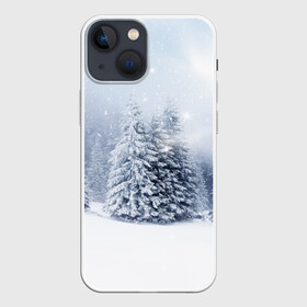 Чехол для iPhone 13 mini с принтом Зимняя пора в Новосибирске,  |  | вьюга | горы | зима | лес | метель | мороз | пейзаж | пурга | снег | снегопад | сосулька | стужа | сугроб | холод