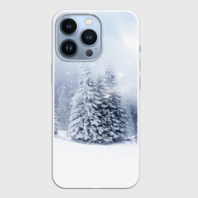 Чехол для iPhone 13 Pro с принтом Зимняя пора в Новосибирске,  |  | вьюга | горы | зима | лес | метель | мороз | пейзаж | пурга | снег | снегопад | сосулька | стужа | сугроб | холод