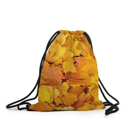 Рюкзак-мешок 3D с принтом Золотая листва в Новосибирске, 100% полиэстер | плотность ткани — 200 г/м2, размер — 35 х 45 см; лямки — толстые шнурки, застежка на шнуровке, без карманов и подкладки | жёлтый осень | золото | листья