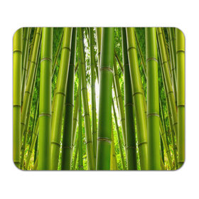 Коврик прямоугольный с принтом Бамбук в Новосибирске, натуральный каучук | размер 230 х 185 мм; запечатка лицевой стороны | Тематика изображения на принте: бамбук | зеленая | растения