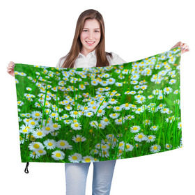 Флаг 3D с принтом Ромашки в Новосибирске, 100% полиэстер | плотность ткани — 95 г/м2, размер — 67 х 109 см. Принт наносится с одной стороны | поле | природа | ромашка | цветы