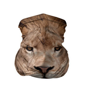 Бандана-труба 3D с принтом Царь зверей в Новосибирске, 100% полиэстер, ткань с особыми свойствами — Activecool | плотность 150‒180 г/м2; хорошо тянется, но сохраняет форму | власть | дикая кошка | животное | король джунглей | лев | львица | мощь | мудрость | охотник | сила | хитрость | хищник | царь зверей