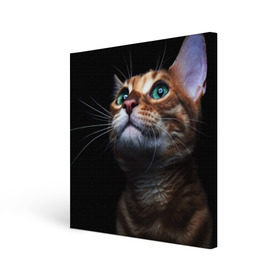 Холст квадратный с принтом Милый котик в Новосибирске, 100% ПВХ |  | кошка | темный | фото