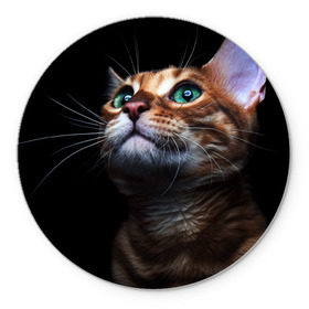 Коврик круглый с принтом Милый котик в Новосибирске, резина и полиэстер | круглая форма, изображение наносится на всю лицевую часть | Тематика изображения на принте: кошка | темный | фото