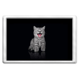 Магнит 45*70 с принтом Котёнок в Новосибирске, Пластик | Размер: 78*52 мм; Размер печати: 70*45 | киса | киска | котёнок | котик | котяра | кошак | кошка | маленький | милый | мяу | няша | пушистый | сладкий | смешной | хороший