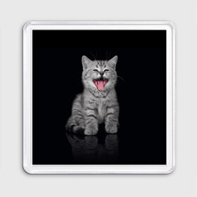 Магнит 55*55 с принтом Котёнок в Новосибирске, Пластик | Размер: 65*65 мм; Размер печати: 55*55 мм | киса | киска | котёнок | котик | котяра | кошак | кошка | маленький | милый | мяу | няша | пушистый | сладкий | смешной | хороший