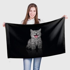 Флаг 3D с принтом Котёнок в Новосибирске, 100% полиэстер | плотность ткани — 95 г/м2, размер — 67 х 109 см. Принт наносится с одной стороны | киса | киска | котёнок | котик | котяра | кошак | кошка | маленький | милый | мяу | няша | пушистый | сладкий | смешной | хороший