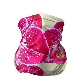Бандана-труба 3D с принтом Красивые цветы в Новосибирске, 100% полиэстер, ткань с особыми свойствами — Activecool | плотность 150‒180 г/м2; хорошо тянется, но сохраняет форму | божественный | букет | великолепный | восхитительный | душистый аромат | красивый | красота | невероятный | неописуемый | приятный запах | растение | фауна | цветок | цветы | шикарный