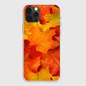Чехол для iPhone 12 Pro Max с принтом Кленовые листья в Новосибирске, Силикон |  | дары осени | жёлтый | золотой | клён | краски | красный | красота | листва | листья | наряд | оранжевый | осень | покров | природа