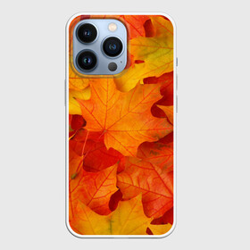 Чехол для iPhone 13 Pro с принтом Кленовые листья в Новосибирске,  |  | дары осени | жёлтый | золотой | клён | краски | красный | красота | листва | листья | наряд | оранжевый | осень | покров | природа