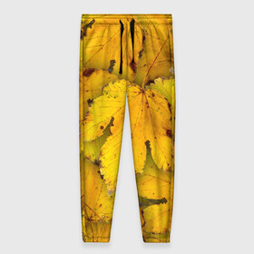 Женские брюки 3D с принтом Жёлтые листья в Новосибирске, полиэстер 100% | прямой крой, два кармана без застежек по бокам, с мягкой трикотажной резинкой на поясе и по низу штанин. В поясе для дополнительного комфорта — широкие завязки | жёлтый | золотой | клён | красота | листва | листья | наряд | осень | осина | покров | природа
