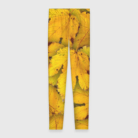 Леггинсы 3D с принтом Жёлтые листья в Новосибирске, 80% полиэстер, 20% эластан | Эластичный пояс, зауженные к низу, низкая посадка | жёлтый | золотой | клён | красота | листва | листья | наряд | осень | осина | покров | природа