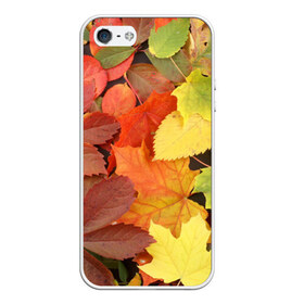 Чехол силиконовый для Телефон Apple iPhone 5/5S с принтом Осенние листья в Новосибирске, Силикон | Область печати: задняя сторона чехла, без боковых панелей | жёлтый | красный | листва | оранжевый | осень