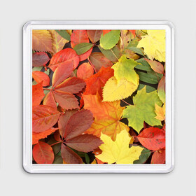 Магнит 55*55 с принтом Осенние листья в Новосибирске, Пластик | Размер: 65*65 мм; Размер печати: 55*55 мм | жёлтый | красный | листва | оранжевый | осень