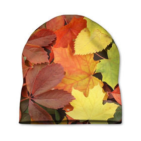 Шапка 3D с принтом Осенние листья в Новосибирске, 100% полиэстер | универсальный размер, печать по всей поверхности изделия | жёлтый | красный | листва | оранжевый | осень