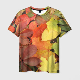 Мужская футболка 3D с принтом Осенние листья в Новосибирске, 100% полиэфир | прямой крой, круглый вырез горловины, длина до линии бедер | Тематика изображения на принте: жёлтый | красный | листва | оранжевый | осень