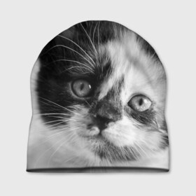 Шапка 3D с принтом Котенок в Новосибирске, 100% полиэстер | универсальный размер, печать по всей поверхности изделия | животные | кот | котенок | кошка | мордочка