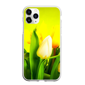 Чехол для iPhone 11 Pro матовый с принтом Тюльпаны в Новосибирске, Силикон |  | букет | поле | природа | тюльпаны | цветы